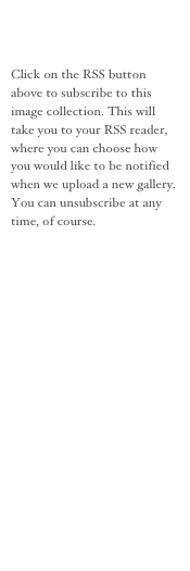 


Click on the RSS button above to subscribe to this image collection. This will take you to your RSS reader, where you can choose how you would like to be notified when we upload a new gallery. You can unsubscribe at any time, of course.